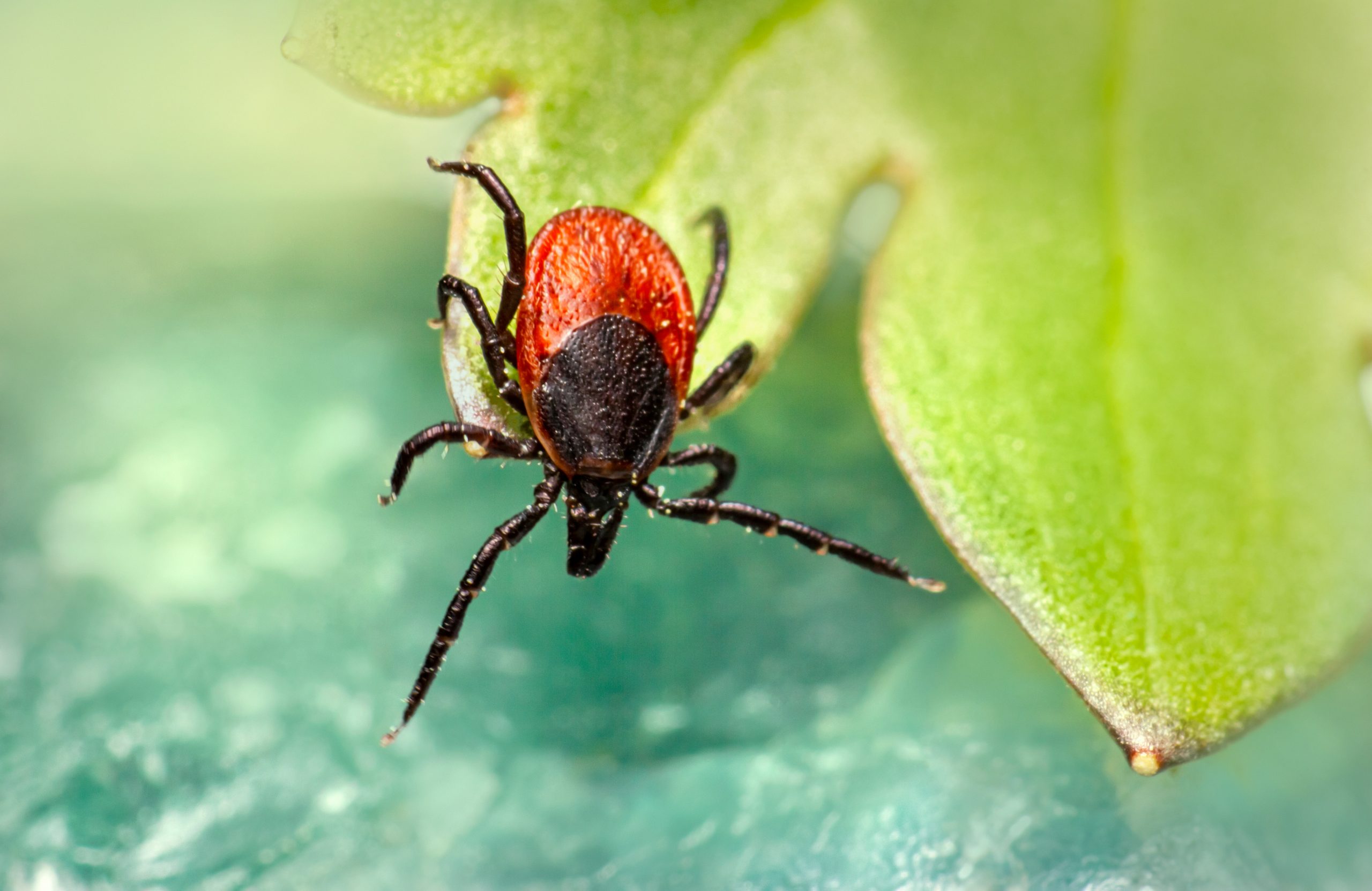 erik-karits-f_oVI_TOgBM-unsplash