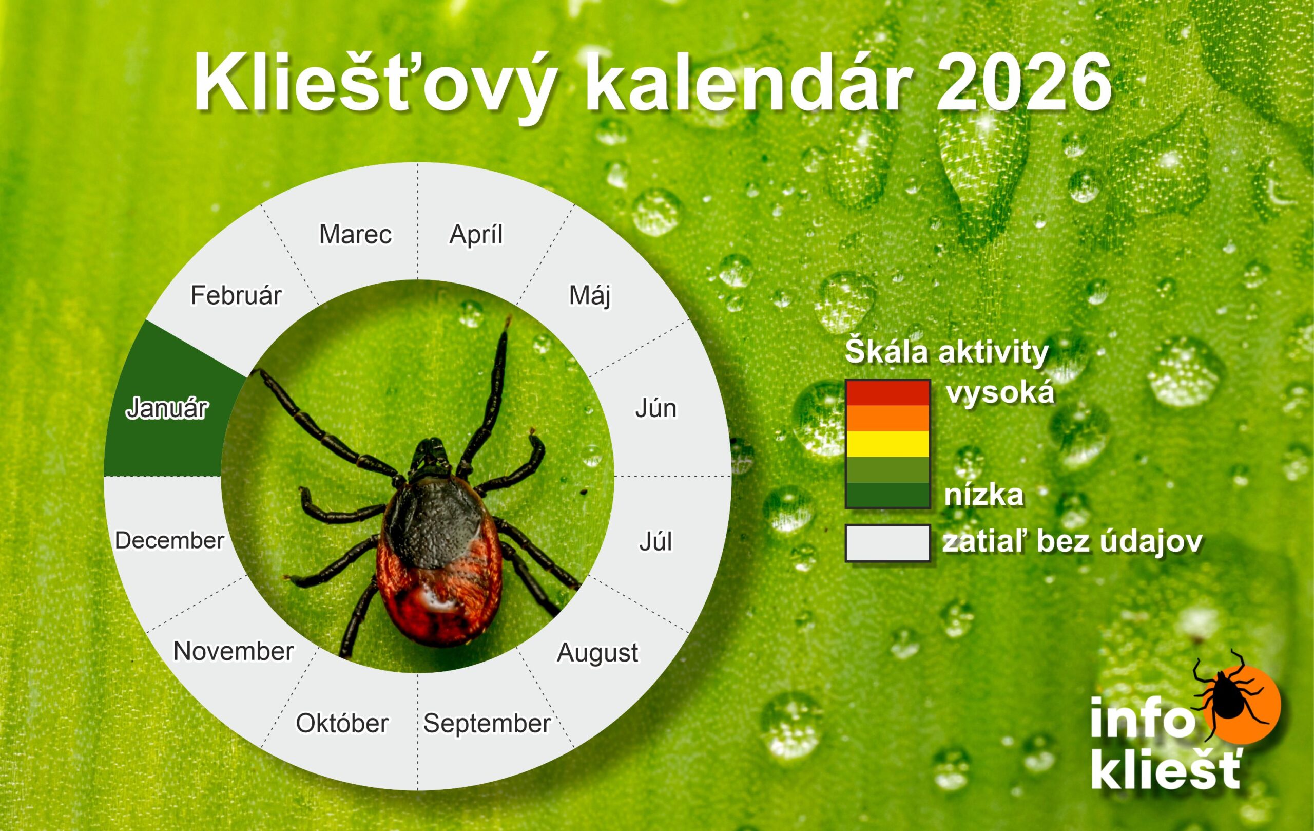 Infokliest kalendar 2026 v01