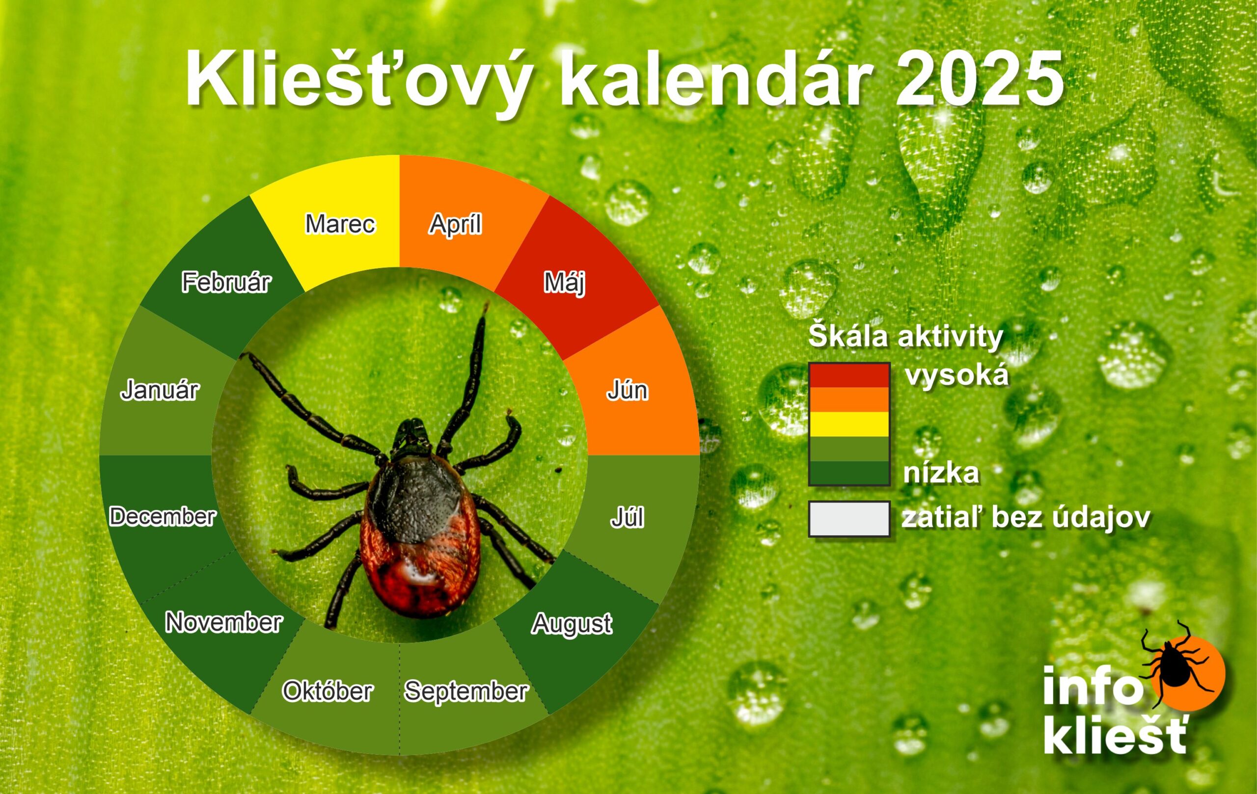 Infokliest kalendar v05